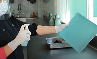 disposable latex gloves