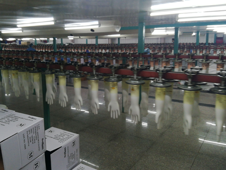 vinyl glove factory